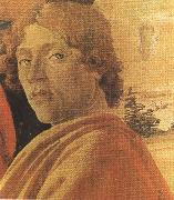 Sandro Botticelli Young man in a Yellow mantle (mk36) oil on canvas